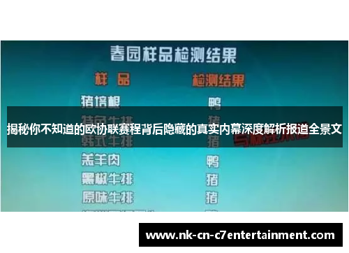 揭秘你不知道的欧协联赛程背后隐藏的真实内幕深度解析报道全景文